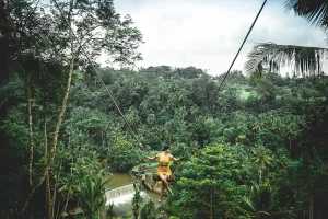 Tegalalang Rice Terrace at Ubud, Bali