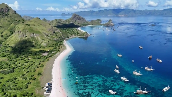 Komodo Full Day Speedboat Tour from Labuan Bajo